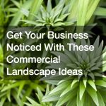Get Your Business Noticed With These Commercial Landscape Ideas